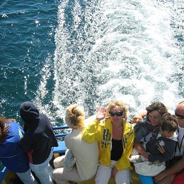 ���� ����, �������� - ��������� 5 ������ 2015