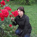 ���� ��������, �����-���������, 51 ��� - ��������� 16 ������� 2014