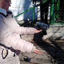 ���� �����, ������, 44 ���� - ��������� 30 ����� 2015 � ������ ���� ����������