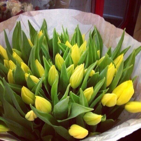   |  |  - 26  2015  19:02 - 6