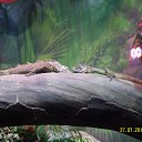 ���� Eugene, �������, 43 ���� - ��������� 18 ������� 2014 � ������ ����������� ��������