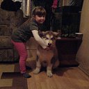 ���� *Svet� 83�� ����!!, ������ - ��������� 13 ������ 2015 � ������ ���� ����������