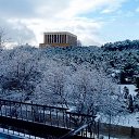 ���� Yilmaz, ������ - ��������� 8 ������� 2015