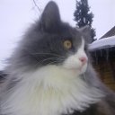 ���� ��������, ���������, 67 ��� - ��������� 1 ������� 2015