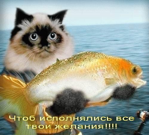 Жмите "класс!" И, Ваше желание обязательно сбудется!