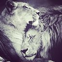 ���� ��������, ������ ��������, 55 ��� - ��������� 24 ����� 2015 � ������ ������ ��������