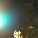 ���� Truvisiona, ������, 57 ��� - ��������� 12 ������� 2015 � ������ ���� ����������