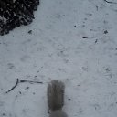 ���� �������, ������ - ��������� 16 ������� 2014 � ������ ���� ����������