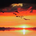 ���� ������, ����������, 55 ��� - ��������� 20 ������ 2015 � ������ ������ ��������