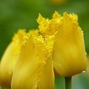 ���� �����, �����, 58 ��� - ��������� 2 ������� 2015 � ������ ������..������ ���������!�