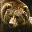 ���� ����-72, ������, 64 ���� - ��������� 31 ������� 2014 � ������ ���� ����������