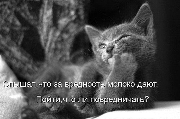 ��� ���� � ����� �� �� - 6 ������� 2015 � 10:33