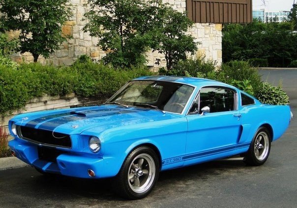 1965 Ford Mustang Shelby GT350 - 3