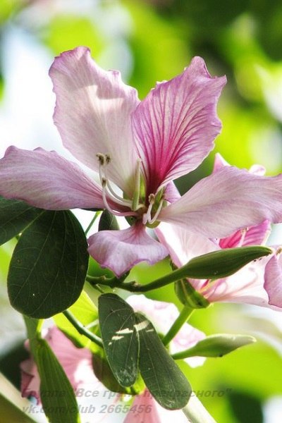 ||  ... || - 5  2015  17:31 - 4