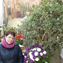 ���� �������, ������ - ��������� 10 ����� 2015 � ������ ���� ����������