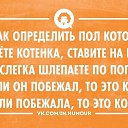 ���� ����, ��������, 55 ��� - ��������� 7 ������ 2015 � ������ ���������