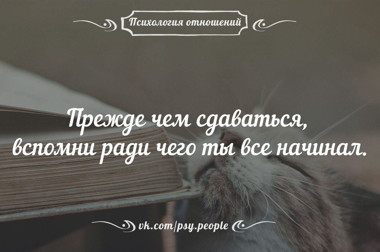 Добрая понимающая. Цитаты относись к людям. Мудрые высказывания об отношениях. Хочешь понять что действительно твое. Люди всегда так удивляются когда с ними поступаешь.