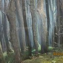 ���� ������, �����������, 40 ��� - ��������� 17 ������ 2015 � ������ ���� ����������