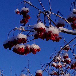 Alex, ������