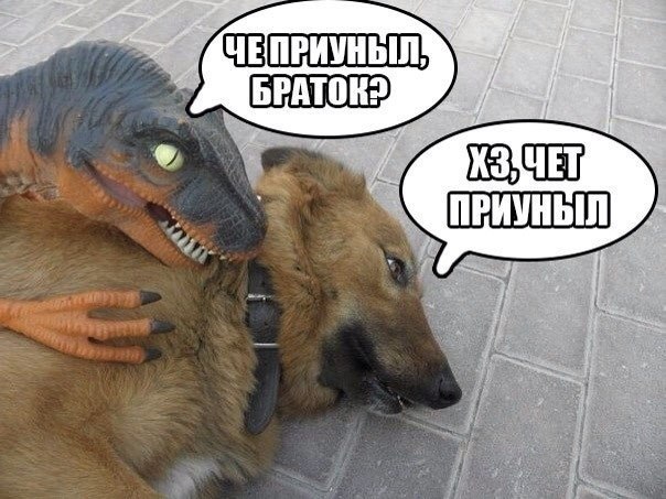 ������� ����� ����� :-) - 25 ������ 2015 � 21:21