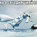 ���� ����, ����������� - ��������� 31 ����� 2015 � ������ ������ ��������