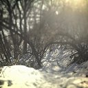 ���� ���������, ����, 46 ��� - ��������� 24 ����� 2015 � ������ ������ ��������