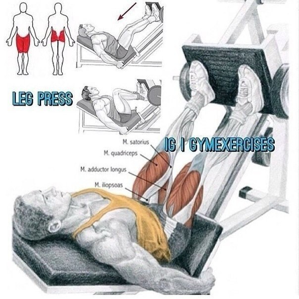 SportFeed - 29  2015  05:38 - 2