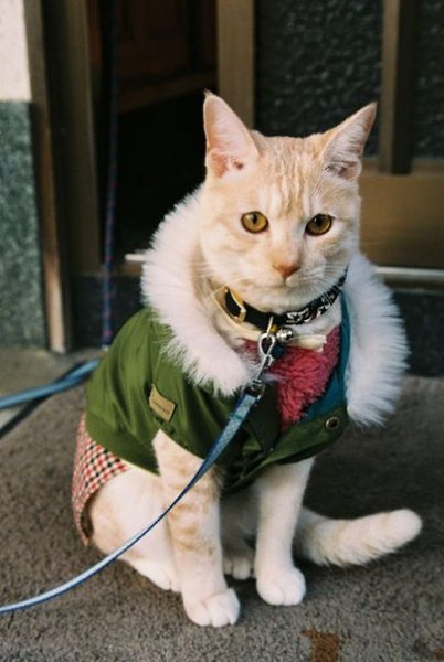 �������� ����� - 2