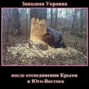���� �������, �����, 70 ��� - ��������� 21 ������� 2015 � ������ ������ ��������