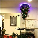 ���� ������, ��������� - ��������� 26 ������� 2014 � ������ ������ ��������