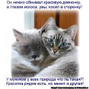 ���� ������, ��� - ��������� 20 ������ 2015 � ������ ������ ��������