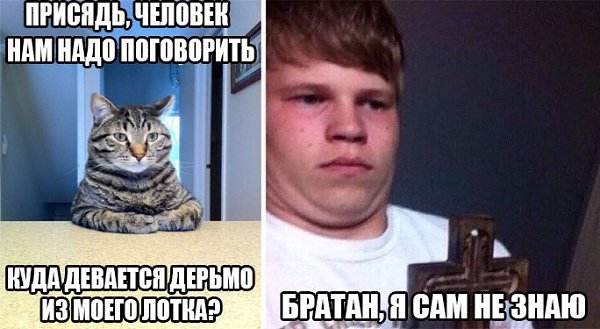 Ты хочешь поговорить мем