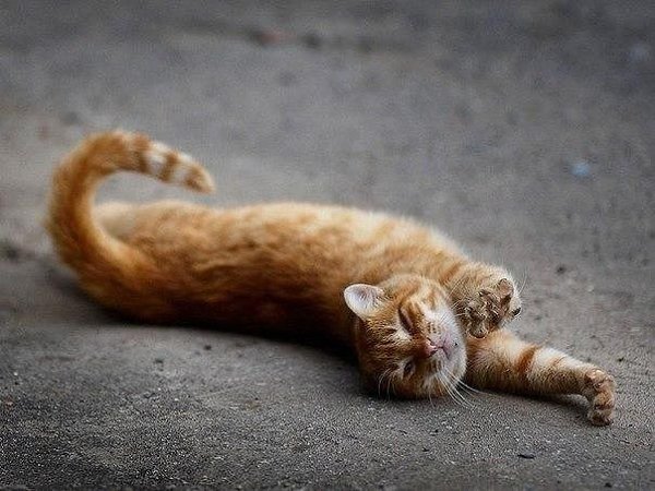 Иногда так хочется закрыть все двери, окна. Выключить свет, телефон, интернет. И уснуть. А ...