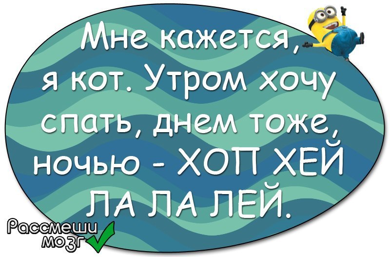 День тоже. Утром хочу спать днем хочу спать а ночью хоп Хей. Хочу спать утром ночью хоп Хей.