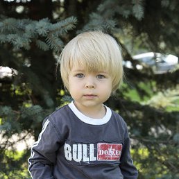 ���� �������, ���������, 51 ��� - ��������� 5 ������ 2015