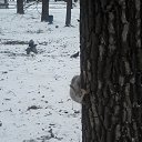 ���� �������, ������ - ��������� 16 ������� 2014 � ������ ���� ����������