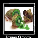 ����� ������ ��� ������� �� ������� �����������