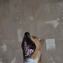 ���� ���������, ���� - ��������� 25 ������ 2015 � ������ ������� ���