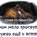 ���� �����, ������ - ��������� 29 ����� 2015 � ������ ���� ����������