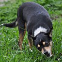 ���� ���������, ���� - ��������� 25 ������ 2015 � ������ ������� ���