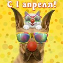 ���� �����, ���������� - ��������� 1 ������ 2015 � ������ �������� ��������