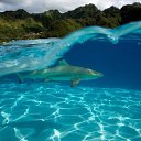 ���� �, ������-��-����, 54 ���� - ��������� 22 ������� 2015 � ������ ������ ��������