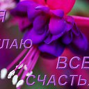 ���� ��������, ��������� - ��������� 17 ������� 2015 � ������ ����������� ������