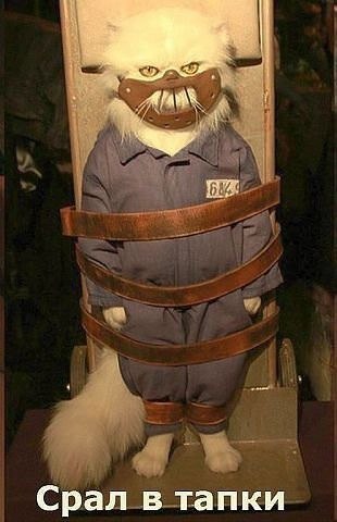 ������ ������ - 31 ������� 2014 � 03:22