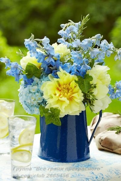 ||  ... || - 5  2015  17:31 - 3