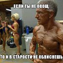  , , 60  -  16  2015    - 