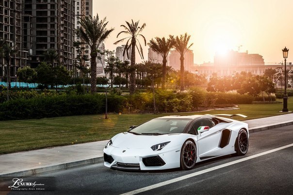 Lamborghini Aventador in Qatar. - 4