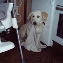 ���� �������� ���������, ���������, 54 ���� - ��������� 4 ������ 2015 � ������ �г���