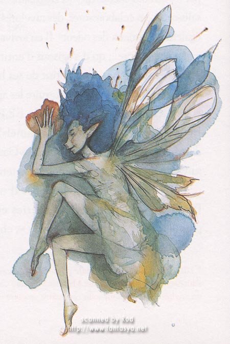 Brian Froud - 29
