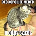 ���� ���������, �������, 54 ���� - ��������� 17 ������ 2015 � ������ ���� ���� ��������ӻ